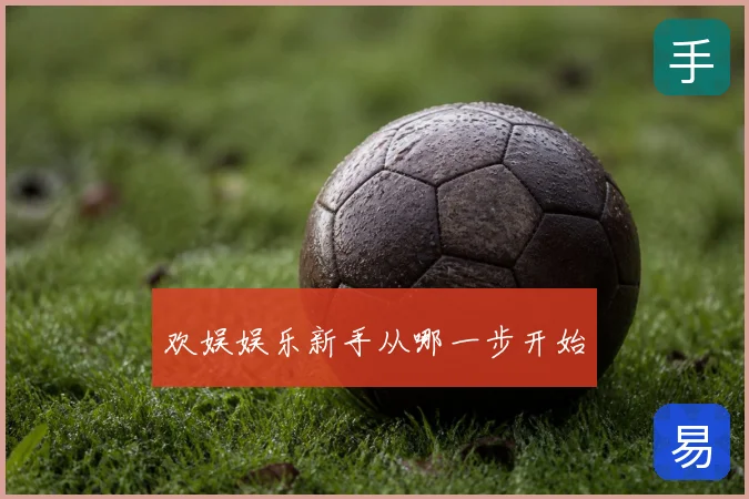 欢娱娱乐新手从哪一步开始